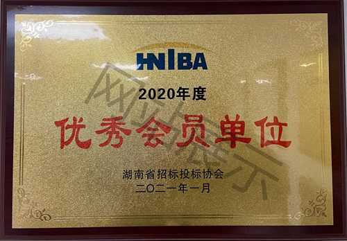 湖南省招标投标协会2020年度优秀会员单位