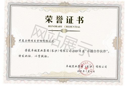 2020年度“卓越合作伙伴”